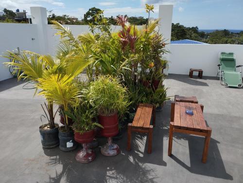 Roger's Place Guesthouse near Cagban Beach Roger's Place Guesthouse near Cagban Beach