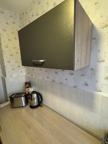 Dapur, Wohnung Vogtland-Panorama in Muldenhammer Dapur, Wohnung Vogtland-Panorama in Muldenhammer