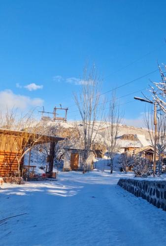 GreenField GH in Yeghegnadzor GreenField GH in Yeghegnadzor