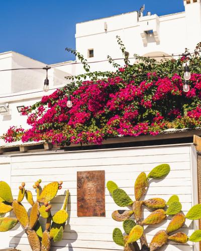 Exterior view, Masseria Santa Teresa in Santa Teresa Exterior view, Masseria Santa Teresa in Santa Teresa