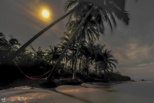 playa, AQUA POINT CONDOS RENTALs in Bocas del Toro playa, AQUA POINT CONDOS RENTALs in Bocas del Toro