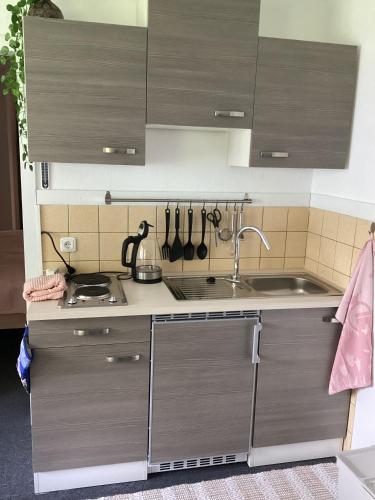 Konyha, Rosenberg in Meuselbach - Schwarzmuhle Konyha, Rosenberg in Meuselbach - Schwarzmuhle