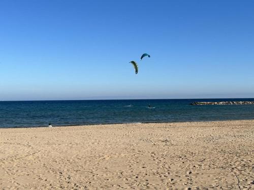 Appartement 2 pieces a Frejus, proche plage - FR-1-226A-199 in Frejus Plage Appartement 2 pieces a Frejus, proche plage - FR-1-226A-199 in Frejus Plage