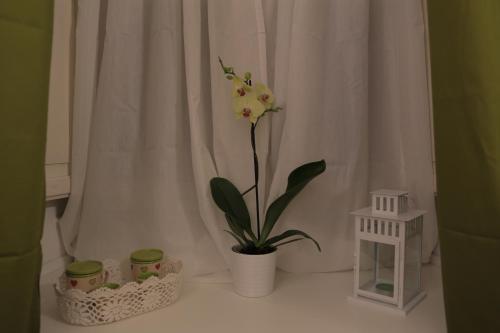 This photo about Domus Horatio shared on HyHotel.com