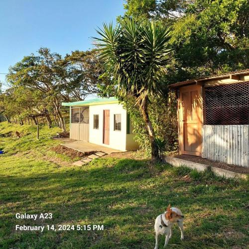 Sunset Farms and Waterfalls! in Tilaran Sunset Farms and Waterfalls! in Tilaran