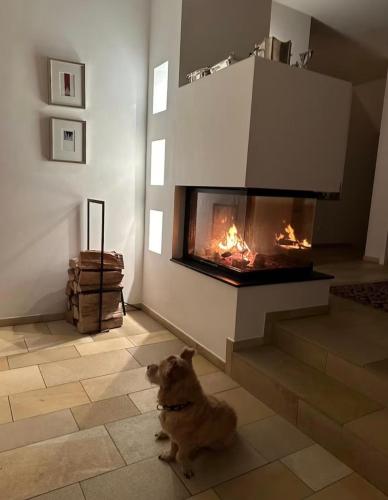 Villa Nähe Münster 5 Schlafzimmern 10 Gäste (Villa Nahe Munster 5 Schlafzimmern 10 Gaste) in Хавіксбек Villa Nähe Münster 5 Schlafzimmern 10 Gäste (Villa Nahe Munster 5 Schlafzimmern 10 Gaste) in Хавіксбек