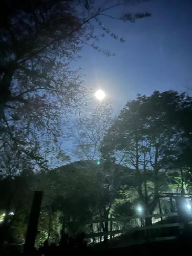 Навколишнє середовище, Suíte Lírio - Sítio Gaia Magia Miguel Pereira RJ (Suite Lirio - Sitio Gaia Magia Miguel Pereira RJ) in Мігел-Перейра Навколишнє середовище, Suíte Lírio - Sítio Gaia Magia Miguel Pereira RJ (Suite Lirio - Sitio Gaia Magia Miguel Pereira RJ) in Мігел-Перейра