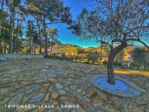 منظر, Trifonas village in Marathokampos منظر, Trifonas village in Marathokampos