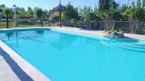 Swimming pool, Cabanas Falagio in San Rafael Swimming pool, Cabanas Falagio in San Rafael