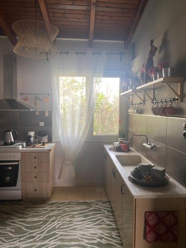 D&S home oinofita in 플라카 딜레시 D&S home oinofita in 플라카 딜레시