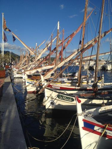 Mediu înconjurător, Au cœur de la ville in Bandol Mediu înconjurător, Au cœur de la ville in Bandol