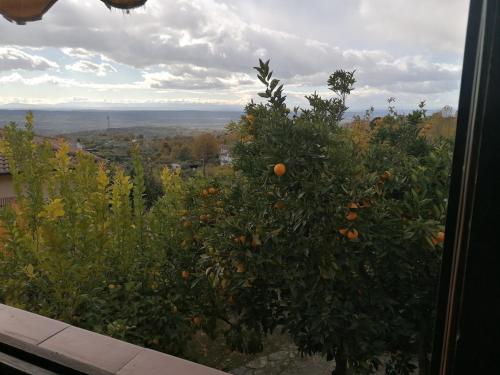 Acogedor apartamento al sur de la Sierra de Gredos in Poyales Del Hoyo Acogedor apartamento al sur de la Sierra de Gredos in Poyales Del Hoyo