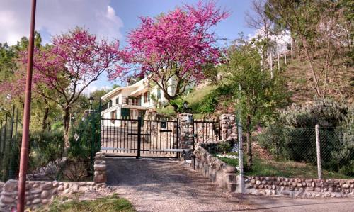 Hotel Villa Poggio Ulivo B&b