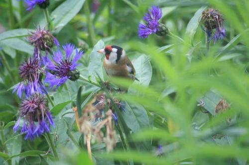This photo about The Heathers Guest House shared on HyHotel.com