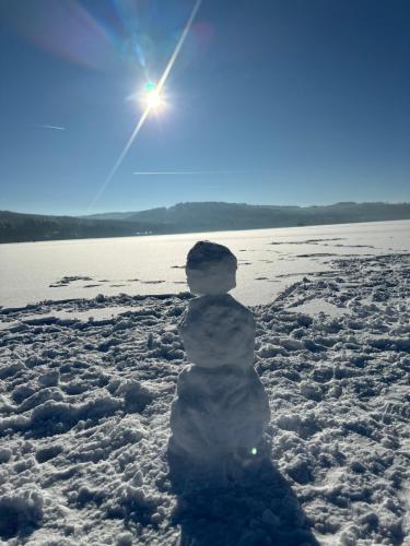 Mezonet Lipno nad Vltavou in Lipno nad Vltavou Mezonet Lipno nad Vltavou in Lipno nad Vltavou