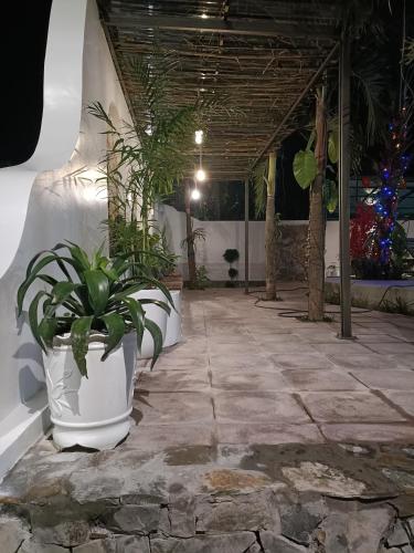 Hugo Homestay in Phong Nha Hugo Homestay in Phong Nha