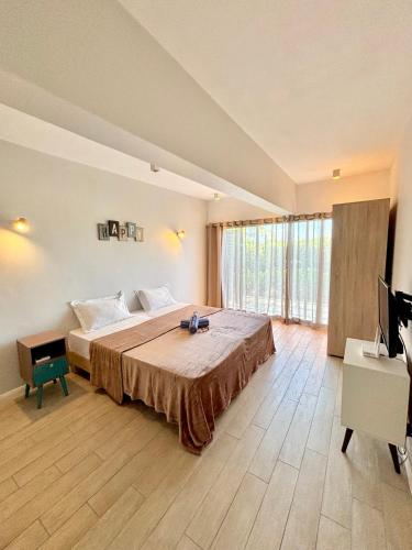 Tamarin-Jardin du Barachois