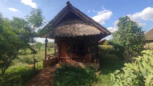 Exterior view, AA Lodge Amboseli in Amboseli National Park Exterior view, AA Lodge Amboseli in Amboseli National Park