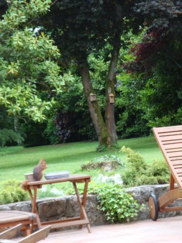 Balcony/terrace, Les Ecureuils in Bougligny Balcony/terrace, Les Ecureuils in Bougligny