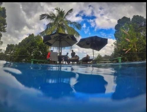 Kolam renang, Nature Resort Layathraa in Wattegama Kolam renang, Nature Resort Layathraa in Wattegama