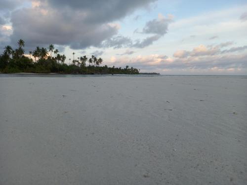 Iruka Guesthouse in Gaafu Dhaalu Atoll Iruka Guesthouse in Gaafu Dhaalu Atoll