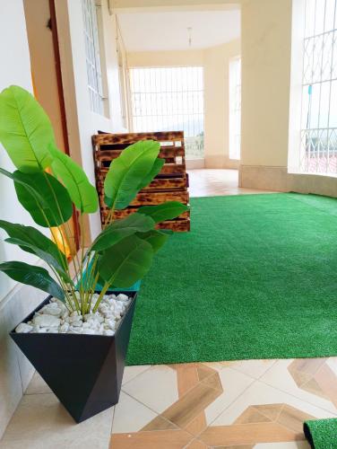 Vee's 2br Apartment, NAKA, Lakeviews in Nakuru Vee's 2br Apartment, NAKA, Lakeviews in Nakuru