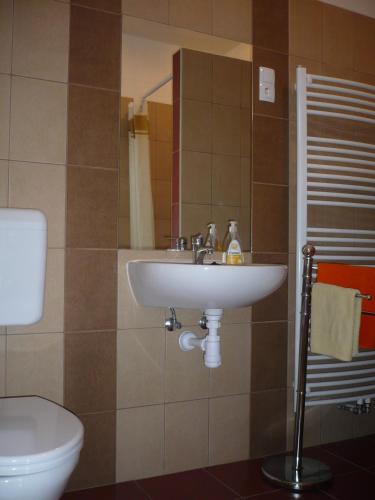 Bathroom, Adrienn Apartman in Sarvar Bathroom, Adrienn Apartman in Sarvar