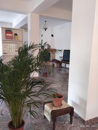 Ananda House in Ciofliceni Ananda House in Ciofliceni