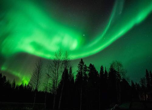 Holiday in Lapland in 보름셀레 Holiday in Lapland in 보름셀레