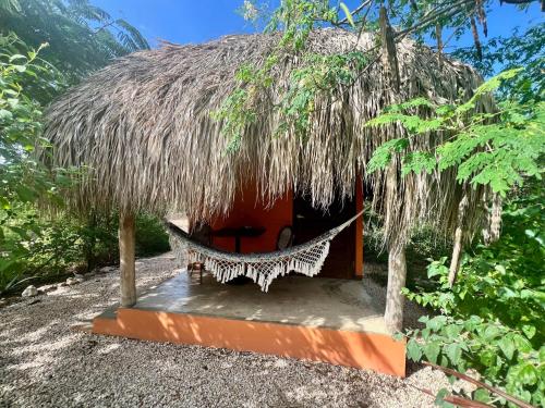 Létesítmények, The Octopus Tropical Oasis in Sint Michiel Létesítmények, The Octopus Tropical Oasis in Sint Michiel