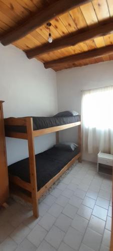 maitenes in Capitan Montoya maitenes in Capitan Montoya