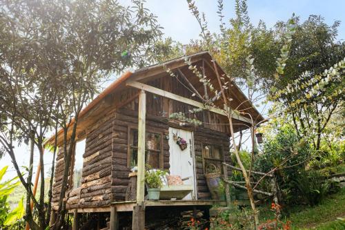 정원, Cabañas Don Santiago (Cabanas Don Santiago) in 산타 크루스 베라파스 정원, Cabañas Don Santiago (Cabanas Don Santiago) in 산타 크루스 베라파스