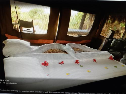 Tindiga Tented Camp Eyasi in Oldeani Tindiga Tented Camp Eyasi in Oldeani
