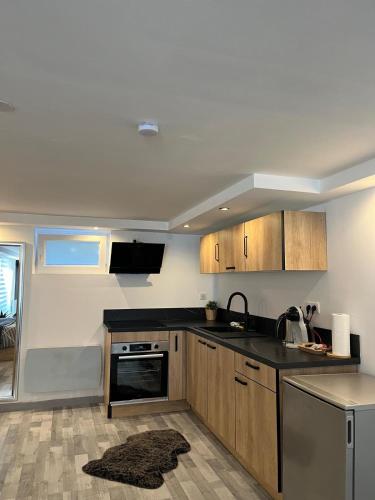Très bel appartement type loft de 40 m2 dans maison avec parking privatif (Tres bel appartement type loft de 40 m2 dans maison avec parking privatif) in Lingolsheim Très bel appartement type loft de 40 m2 dans maison avec parking privatif (Tres bel appartement type loft de 40 m2 dans maison avec parking privatif) in Lingolsheim