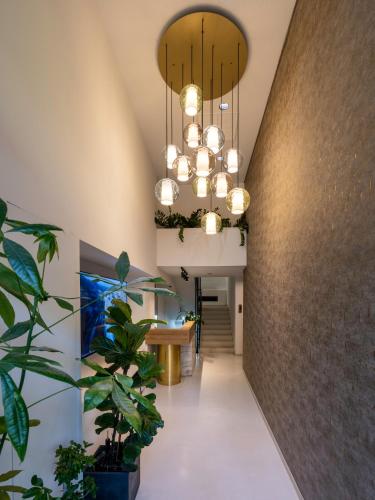 Regal Hotel Mitropoleos in اثينا Regal Hotel Mitropoleos in اثينا