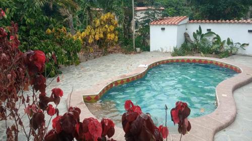 Swimming pool, Cacao y Sol in Choroni Swimming pool, Cacao y Sol in Choroni