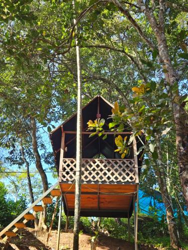 Kert, Camptop Munnar in Kallar Vattiyar Kert, Camptop Munnar in Kallar Vattiyar