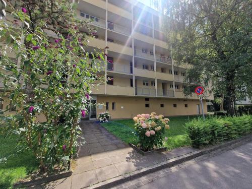 Bright and cozy apartment-central in Birsfelden Bright and cozy apartment-central in Birsfelden