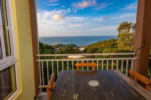 Cathartica in Baie Malgache Cathartica in Baie Malgache