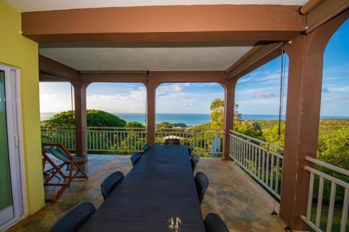 Cathartica in Baie Malgache Cathartica in Baie Malgache