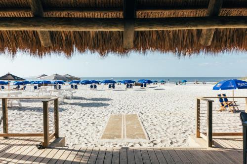 Praia, Beach House Resort Hilton Head in Hilton Head Island (SC) Praia, Beach House Resort Hilton Head in Hilton Head Island (SC)