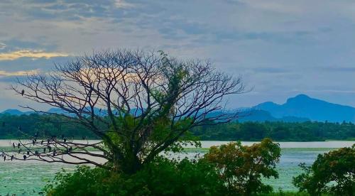 Lake Front in Kurunegala Lake Front in Kurunegala