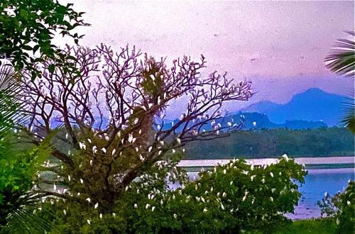 Lake Front in Kurunegala Lake Front in Kurunegala