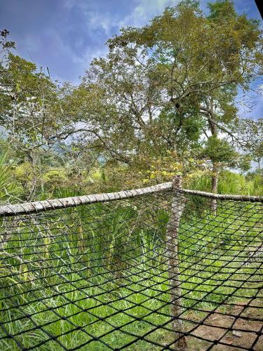 Finca Ecoparaiso in Ibague Finca Ecoparaiso in Ibague