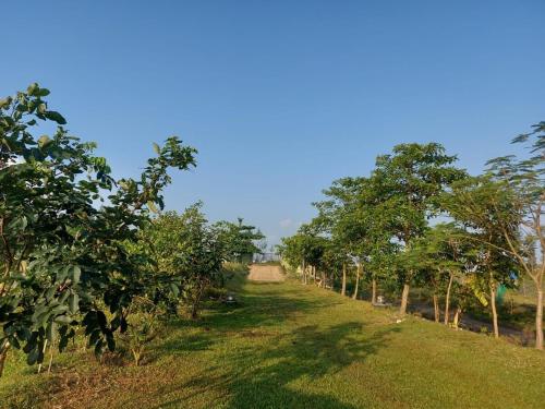 Garden, Pothik Beach Resort in Inani Garden, Pothik Beach Resort in Inani