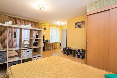 Apartment Popova City Center in Yekaterinburg Apartment Popova City Center in Yekaterinburg