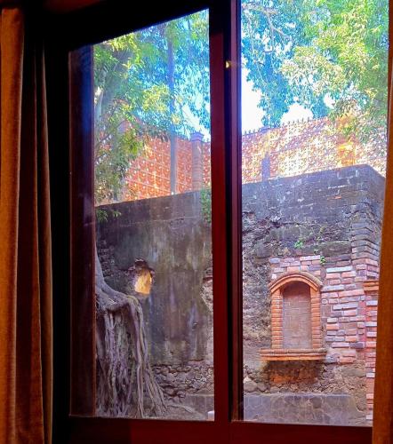 景觀, Casa del Arbol in 聖布拉斯 景觀, Casa del Arbol in 聖布拉斯