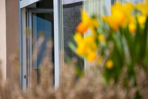 ทัศนียภาพ, SALITEREI Ferienhaus im Herzen des Seewinkels in เฟราเอนคริเช่น ทัศนียภาพ, SALITEREI Ferienhaus im Herzen des Seewinkels in เฟราเอนคริเช่น