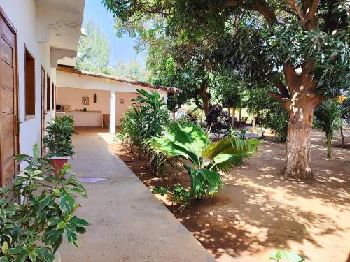 Le jardin de Adja in 加帕罗尔 Le jardin de Adja in 加帕罗尔