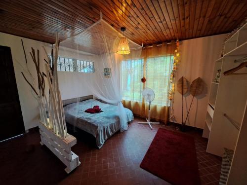Ti' Chalet 2 pers Nord Caraïbes (Ti' Chalet 2 pers Nord Caraibes) in Le Carbet Ti' Chalet 2 pers Nord Caraïbes (Ti' Chalet 2 pers Nord Caraibes) in Le Carbet